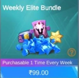 Monthly Bundle